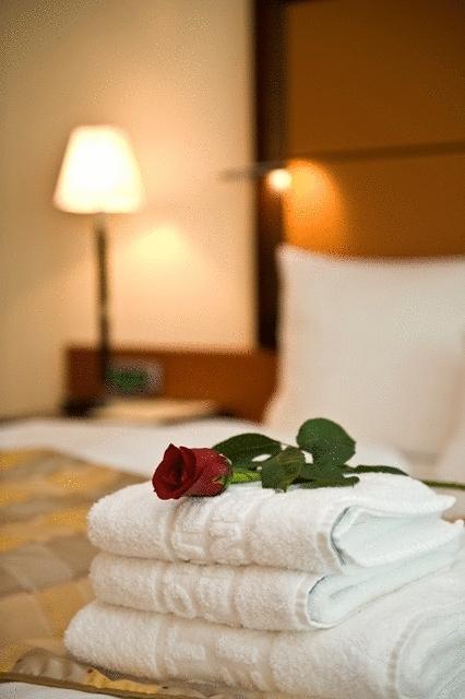 Aparthotel Premier Podgorica Bilik gambar